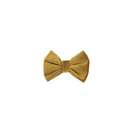 Kentucky Bow Tie | Velvet 